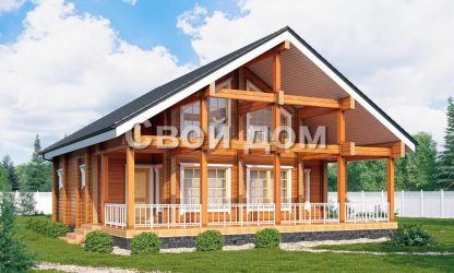 Проект Лесовик